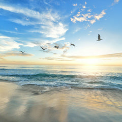SWEN Capital Partners announces €160m first close of second ocean fund