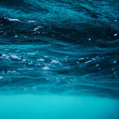 Drive to create a capital market for the ocean moves from concept to reality