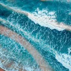 How the ‘evil twin’ of the climate crisis is threatening our oceans