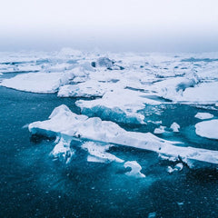 The Business Case for a Sustainable Blue Economy