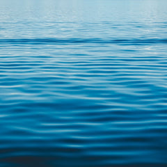Sustainable Blue Economy Finance Initiative