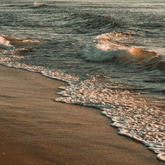 Whitehouse, Colleagues Introduce Bill To Invest In Blue Economy, Spark Innovation In Coastal Communities