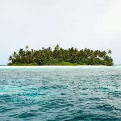 Navigating Change: the Role of Climate-Smart MPAs in Achieving 30x30