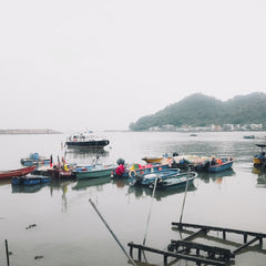 New study suggests seafood retailers can protect biodiversity and profitability