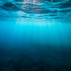 A drop in the ocean: does experimental technology hold the key to saving the world’s seas?