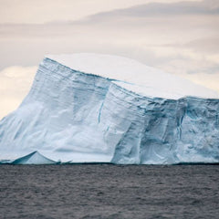 Tech Titans’ Philanthropy Puts Oceans Front and Center