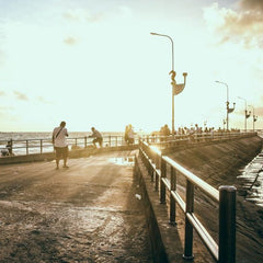 Seawalls – Our Front Lines of Defense