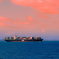 Shipowner decarbonisation ambition and action rise