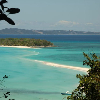 Blue Carbon on Wall Street